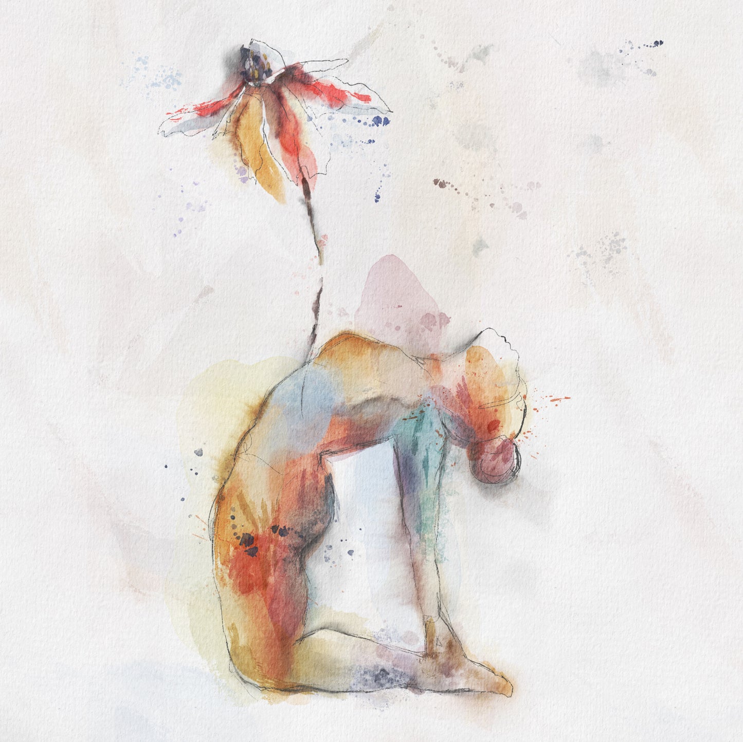 Fleur de yoga-échinacée