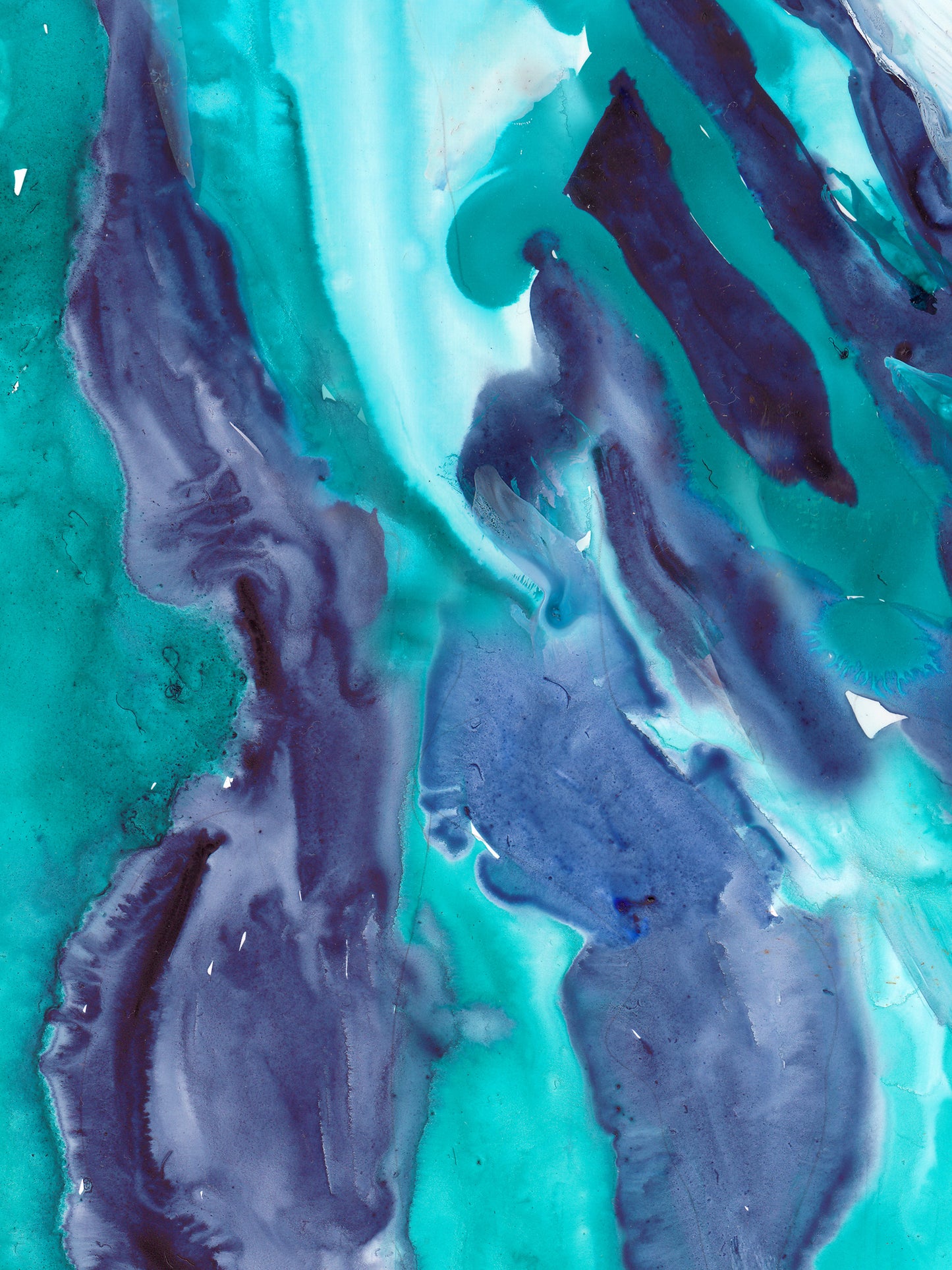 Turquoise Tiger- Print