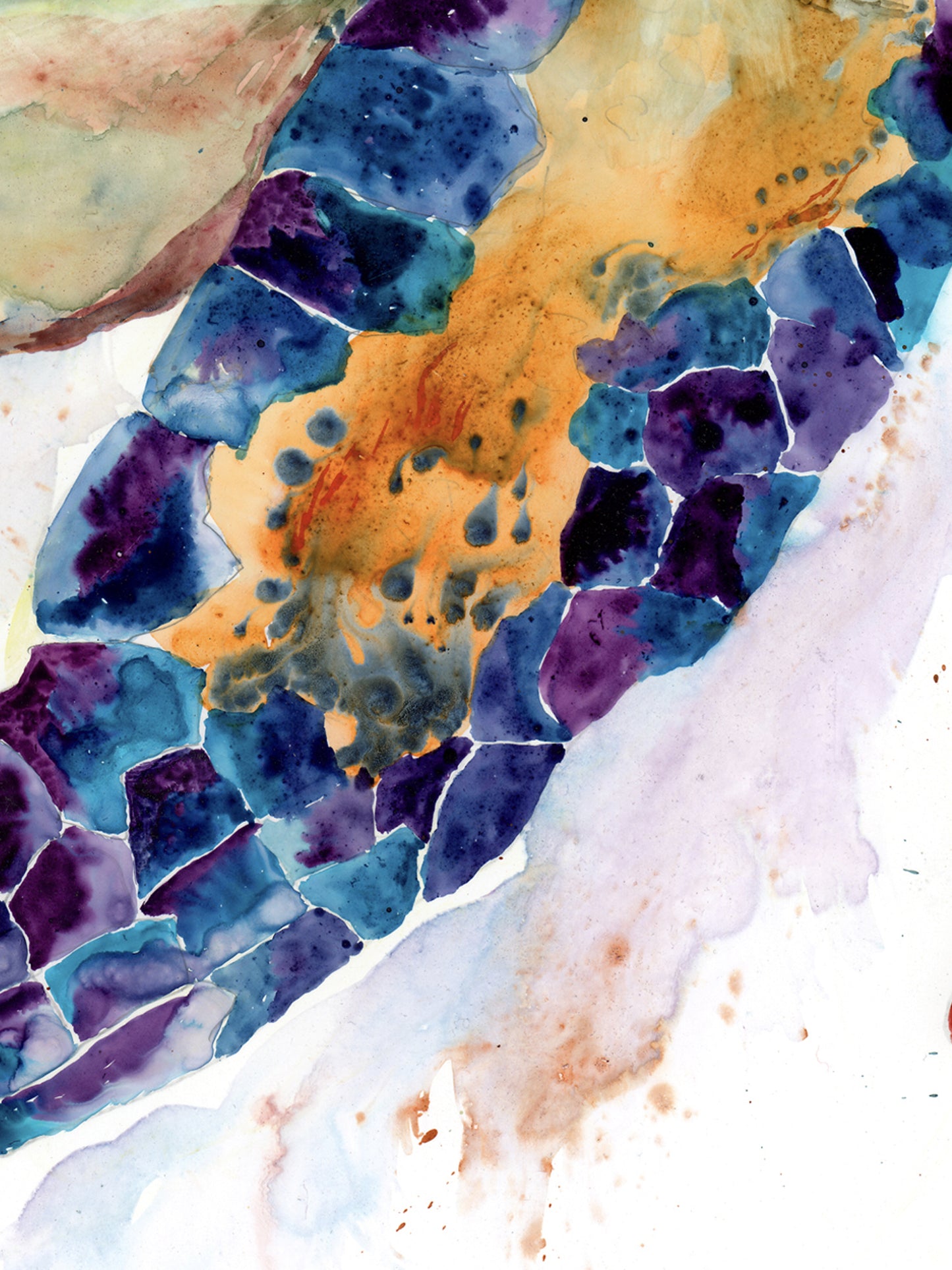 Grandma Sea Turtle- print