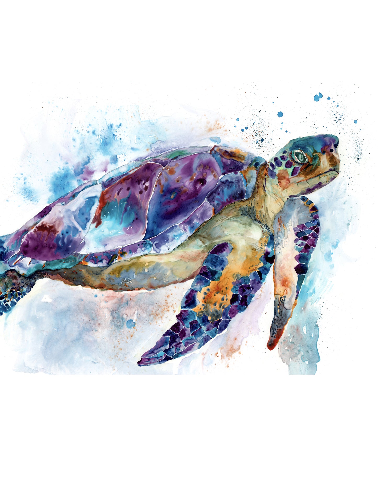 Grandma Sea Turtle