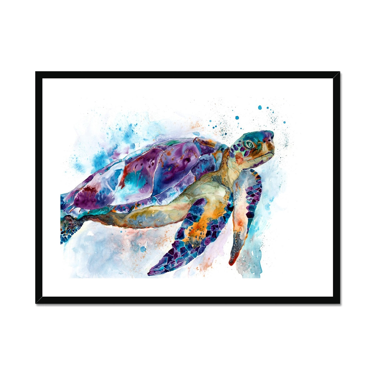 Tortue Grand-Mère - Impression encadrée et montée