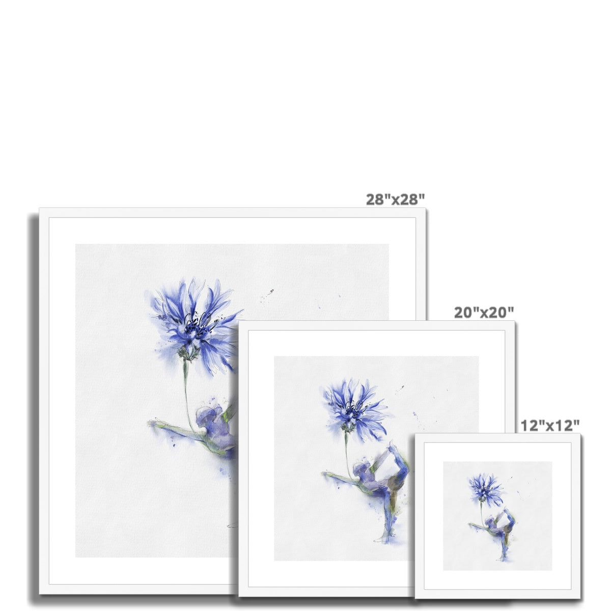 Fleur de bleuet de yoga - Impression encadrée et montée