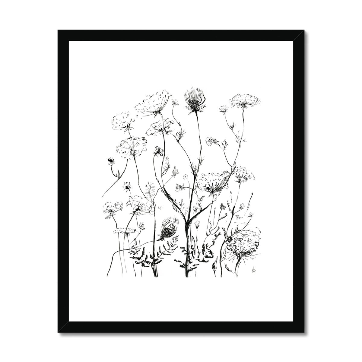Douce Daucus - Impression encadrée et montée