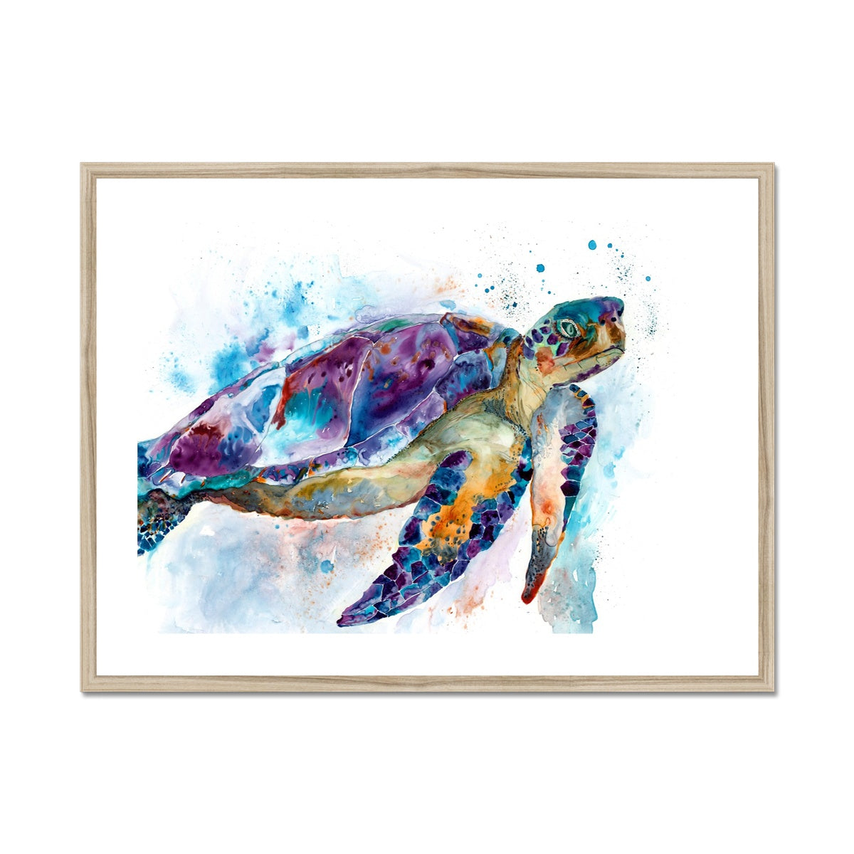Tortue Grand-Mère - Impression encadrée et montée