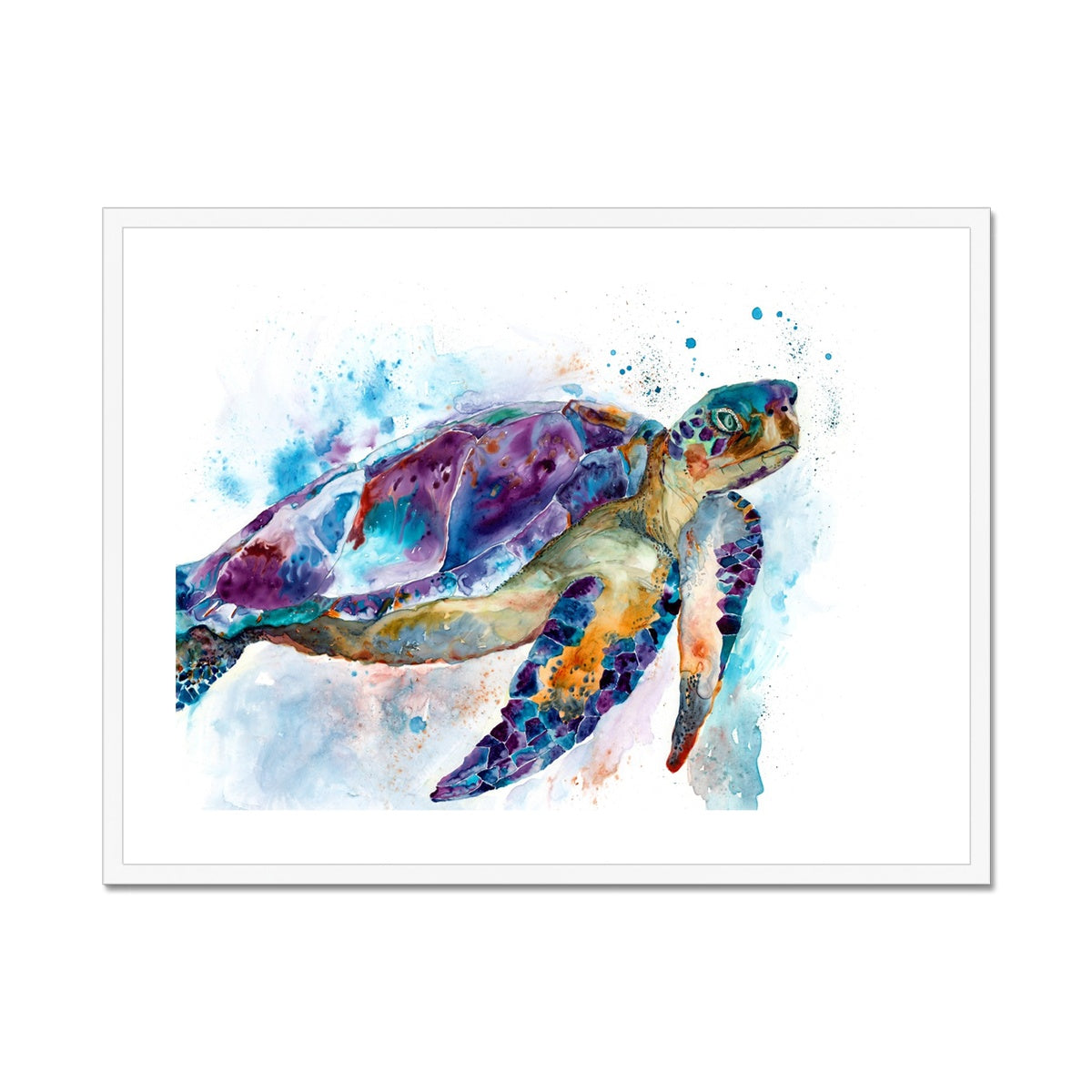 Tortue Grand-Mère - Impression encadrée et montée
