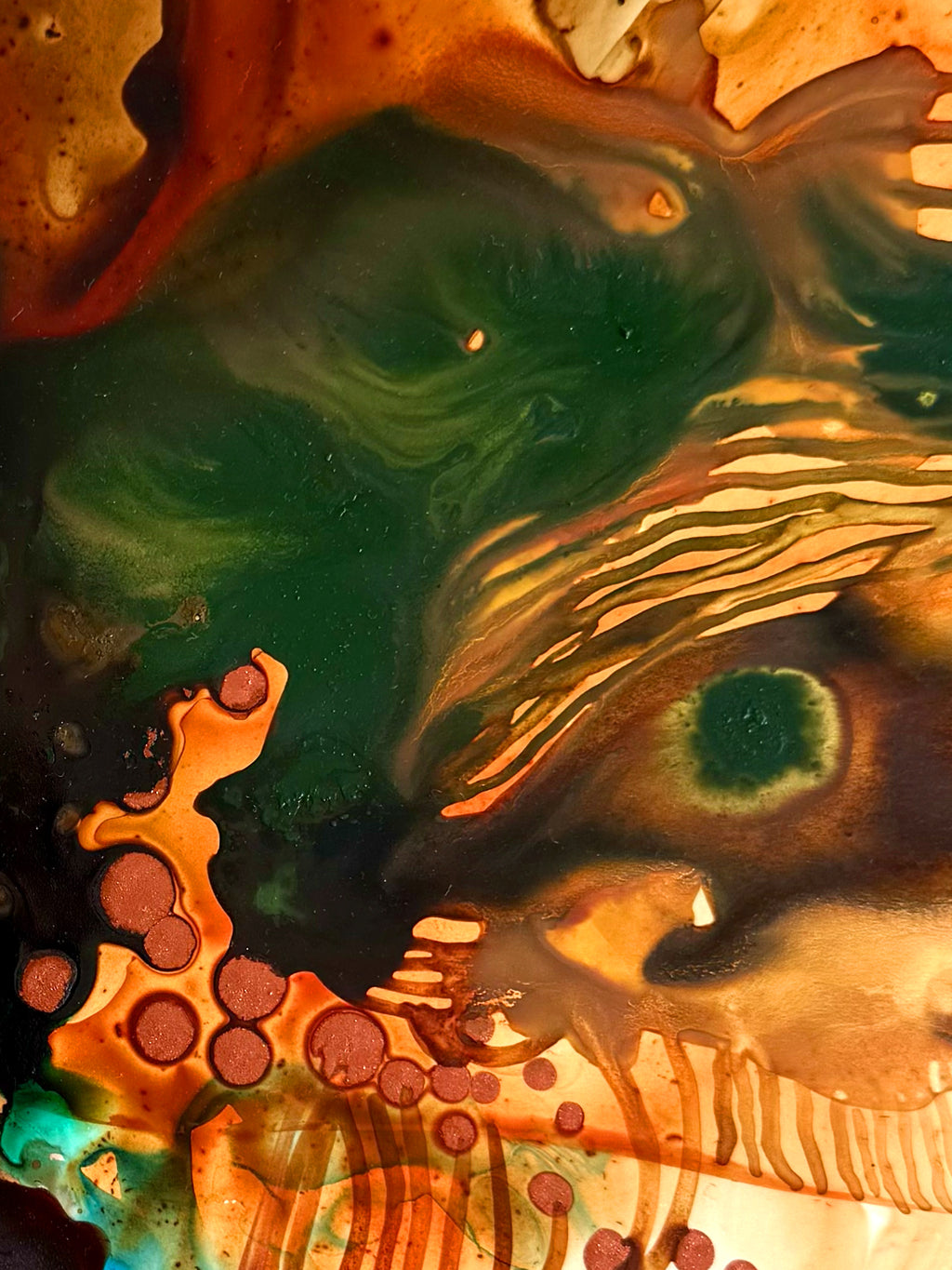 Biome