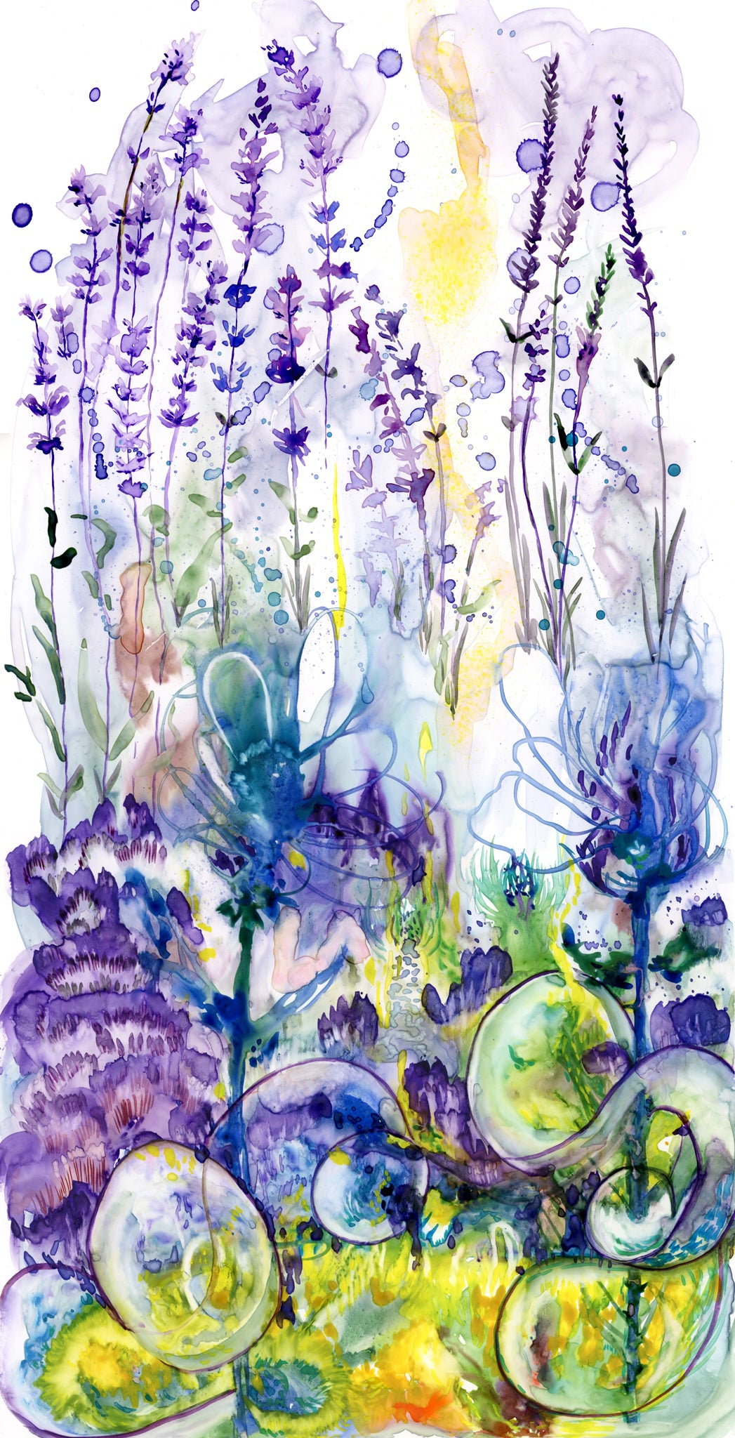 Narïn-Say-Lavendula