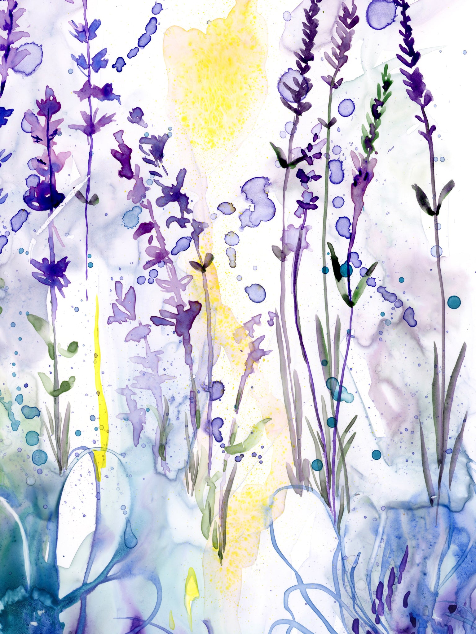 Narïn-Say-Lavendula