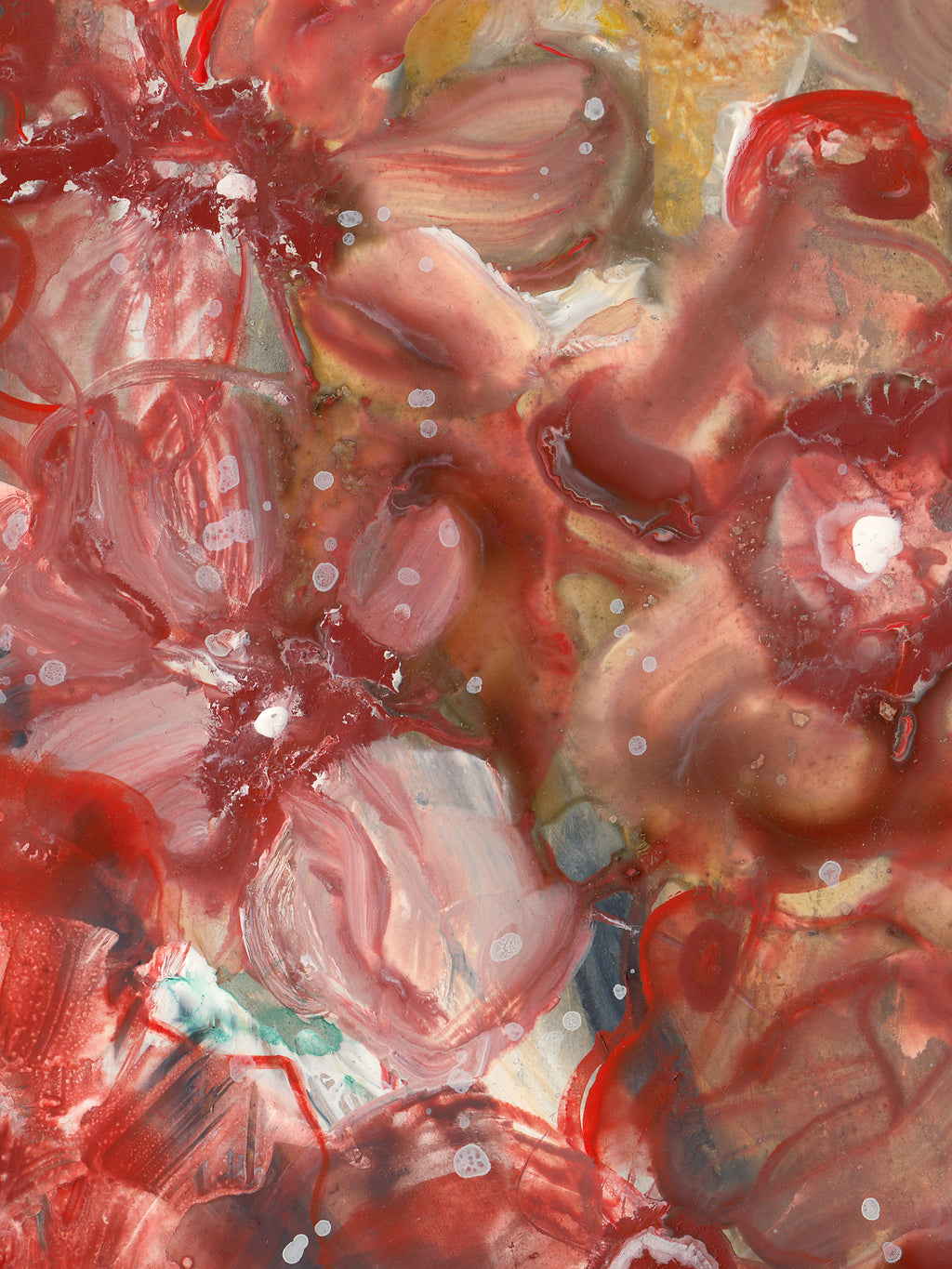 Majesté aux yeux bleus