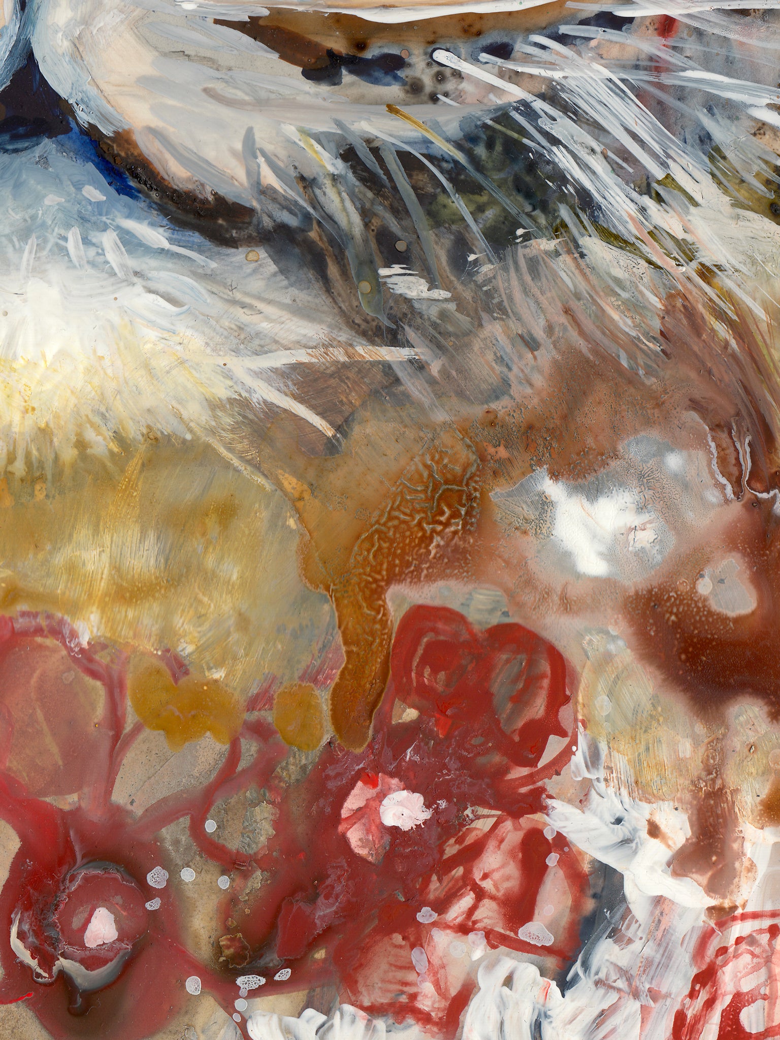 Majesté aux yeux bleus