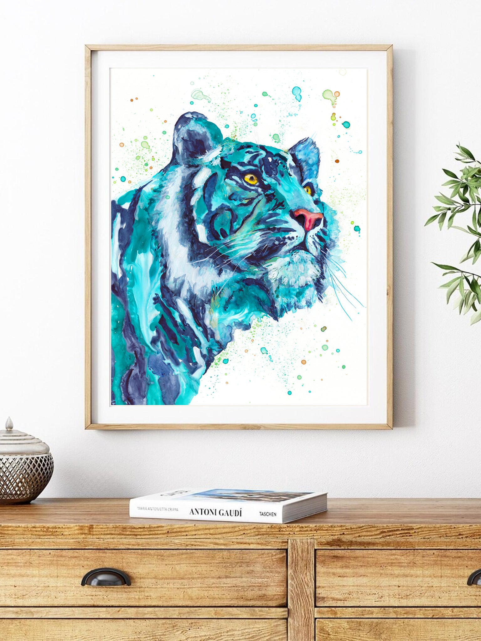 Tigre turquoise