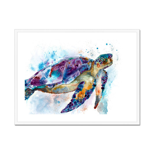 Grandma Sea Turtle- Framed & Mounted Print